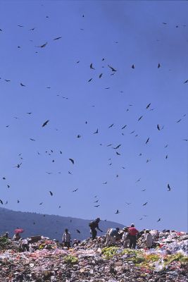 クリックでフルサイズのイメージを表示する